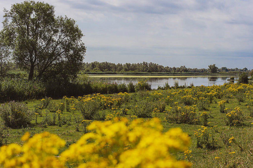Packrafting im Biesbosch Mikroabenteuer