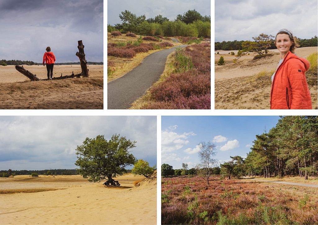 Veluwe Radtour Harderwijk Ausflugsziele