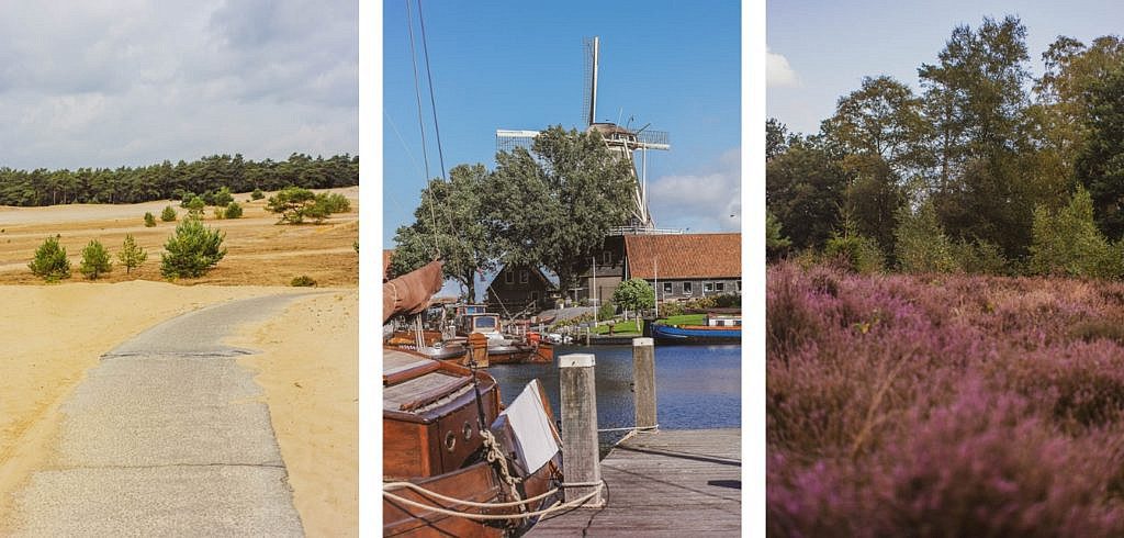 Vielseitige Hansestadt Harderwijk Natur Veluwe Veluwerandmeer Wolderwijd