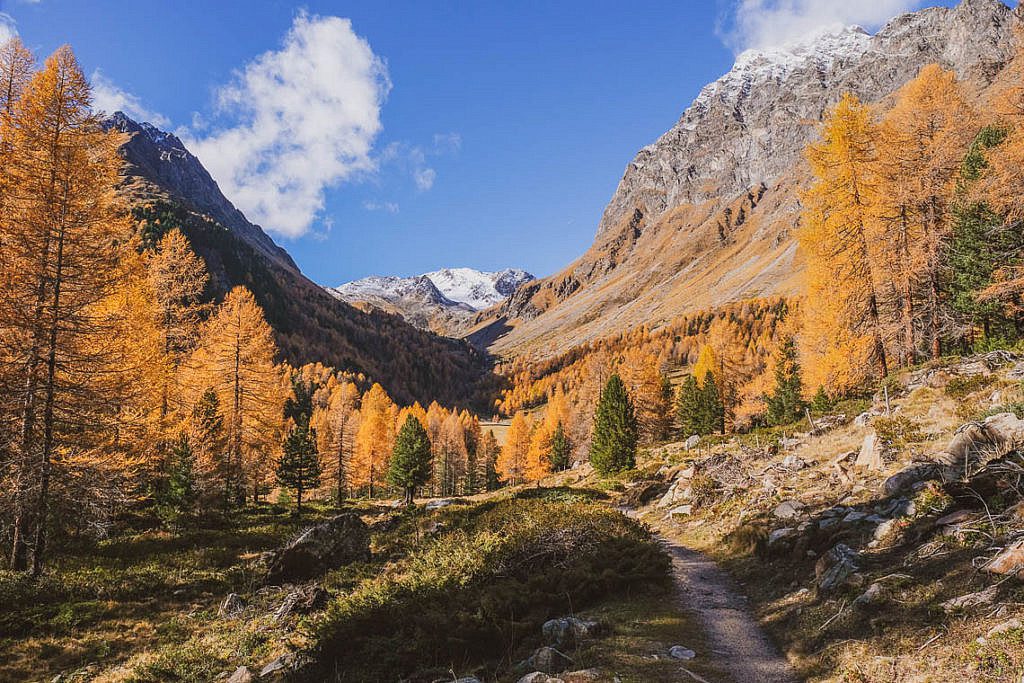 Lagh da Saoseo Valposchiavo Ausflugsziele Sehenswürdigkeiten Val da Camp