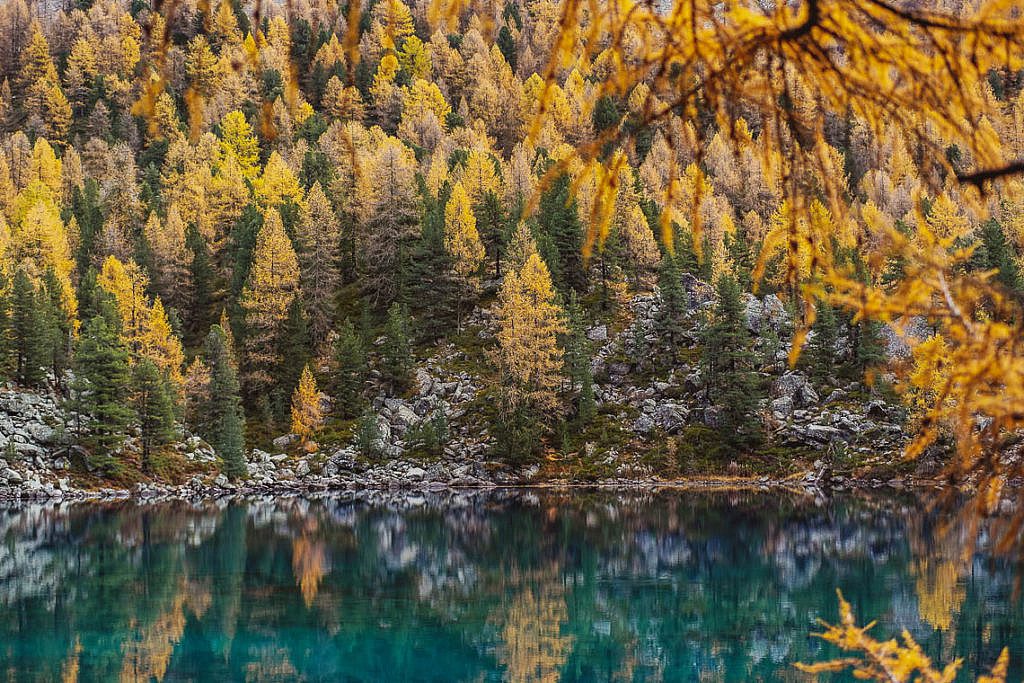 Valposchiavo Ausflugsziele & Sehenswürdigkeiten Lagh da Saoseo