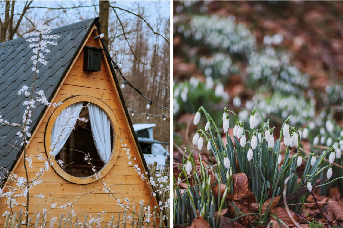 Oetdoor Boshuisje Glamping in Holland