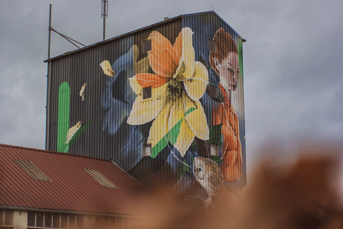 Silo Art Tour Het Bloemenmeisje
