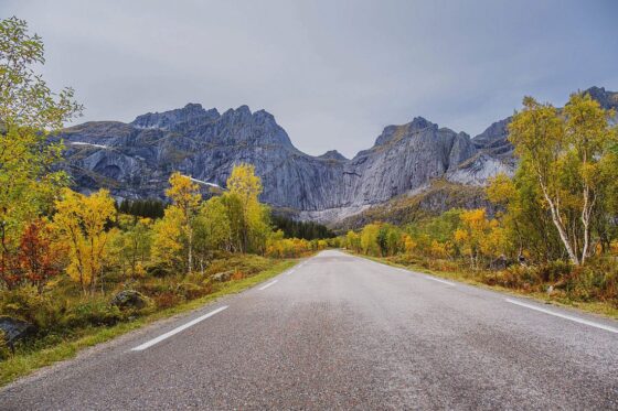 Schöne Straße nach Nusfjord Fotospot
