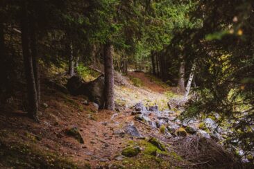 Wanderung San Romerio Tirano
