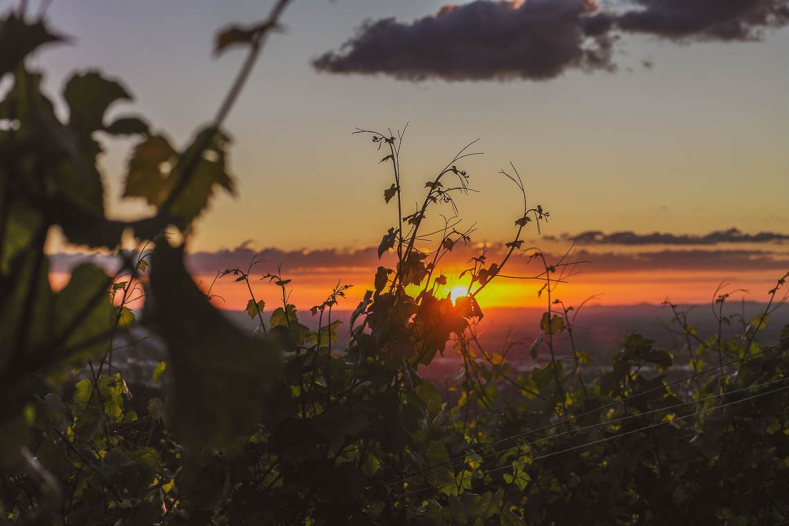 Schwarzwald Insider-Tipp Baden-Württemberg Sasbachwalden