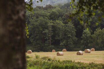 Wandern in den Ardennen