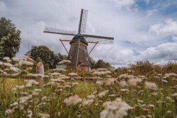 Windmühle Besthmenermolen Vechtdal Sehenswürdigkeit