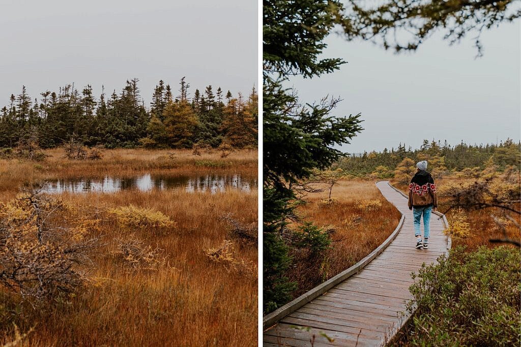 Bog Trail Cabot Trail Cape Breton 1