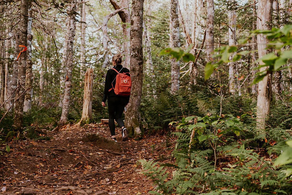 Egypt Falls Wanderung Cabot Trail 1