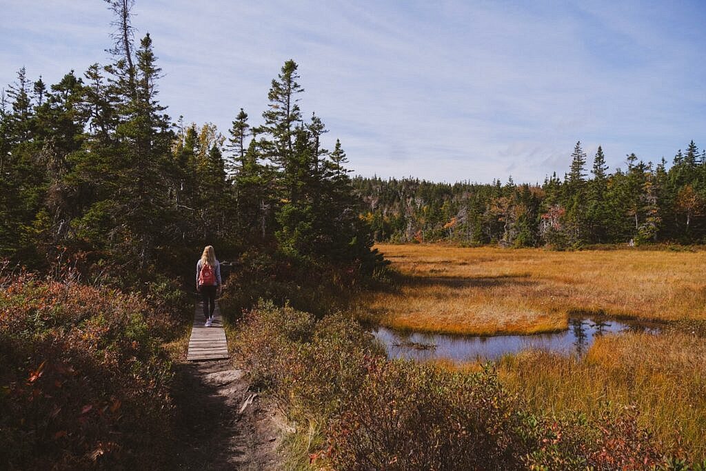 Franey Trail schönste Wanderung Nova Scotia 12