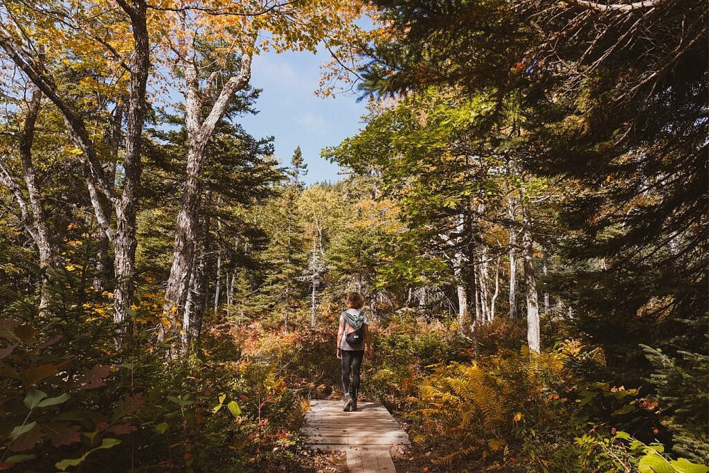 Franey Trail schönste Wanderung Nova Scotia 13