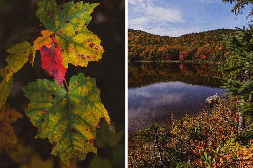 Franey Trail schönste Wanderung Nova Scotia 14