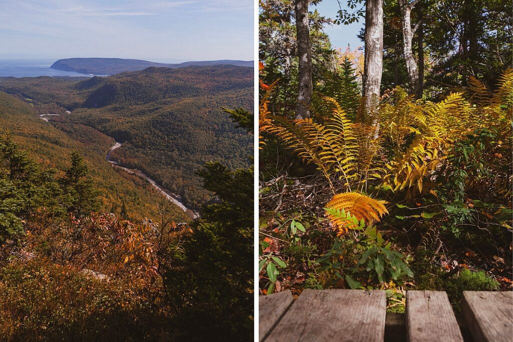 Franey Trail schönste Wanderung Nova Scotia 15