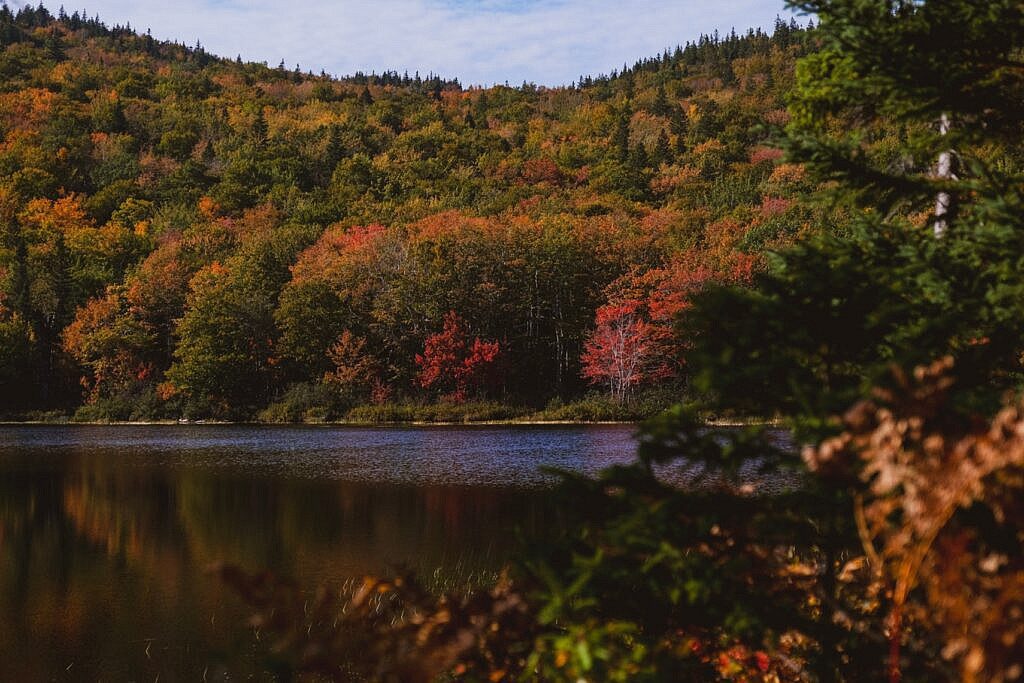 Franey Trail schönste Wanderung Nova Scotia 19
