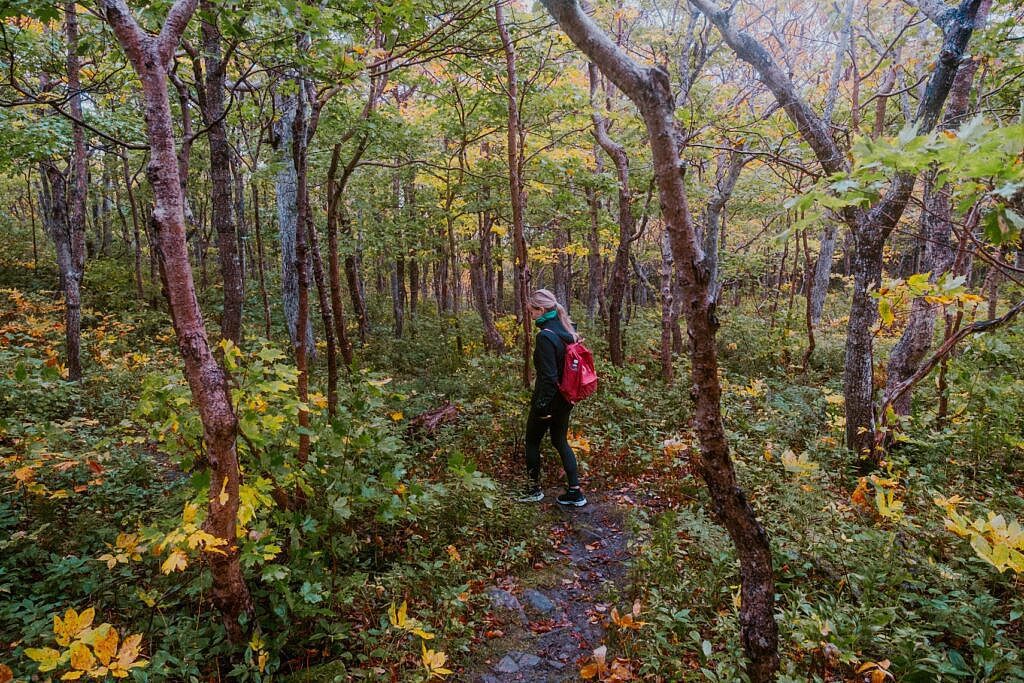 Meatcove Mountain Trail Nova Scotia schönste Wanderungen 1