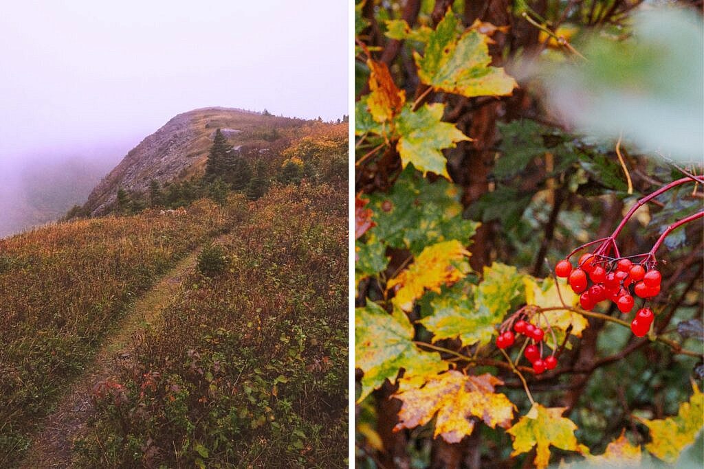 Meatcove Mountain Trail Nova Scotia schönste Wanderungen 2