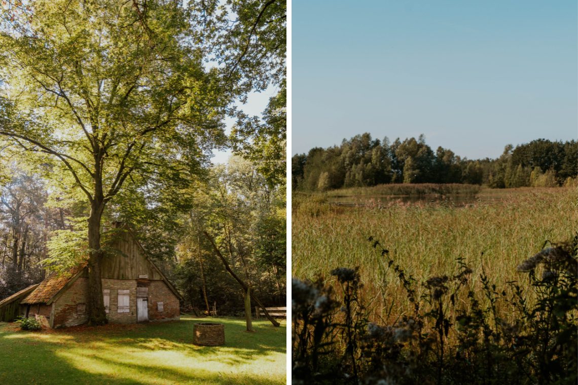 Wandern Buurserzand Haaksbergen Aktivitäten 7