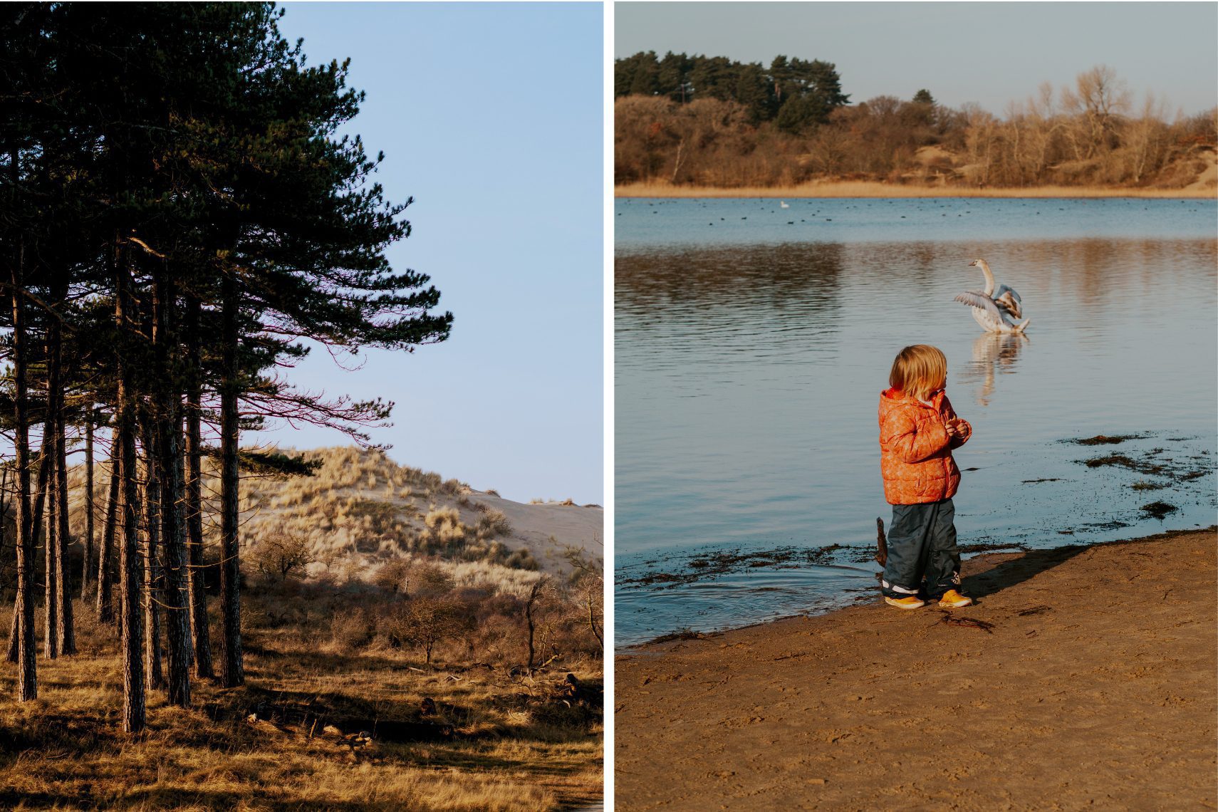 Dünenwanderung Kennemerduinen