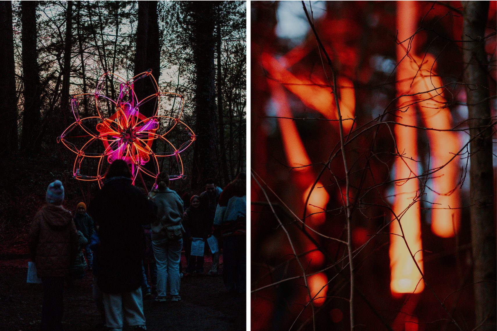 Caprera LIchtfestival Bloemendaal Winter in Haarlem Aktivität
