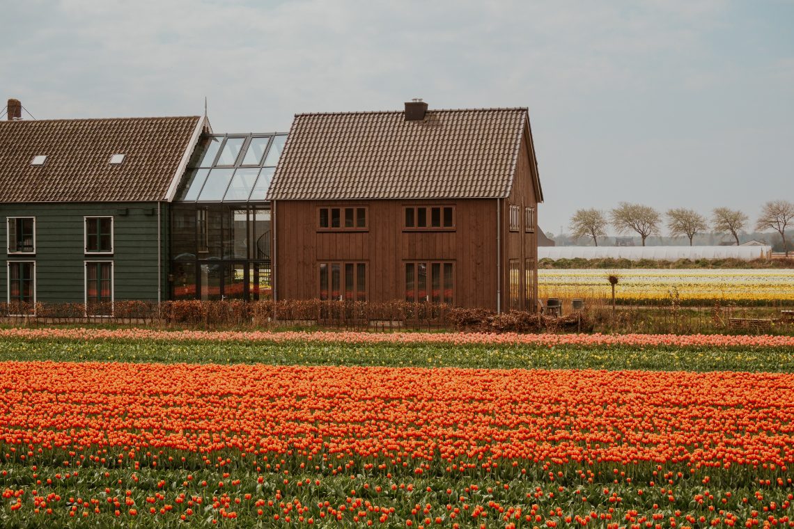 De Groene Bollenschuur Hillegom Tulpenblüte Übernachten