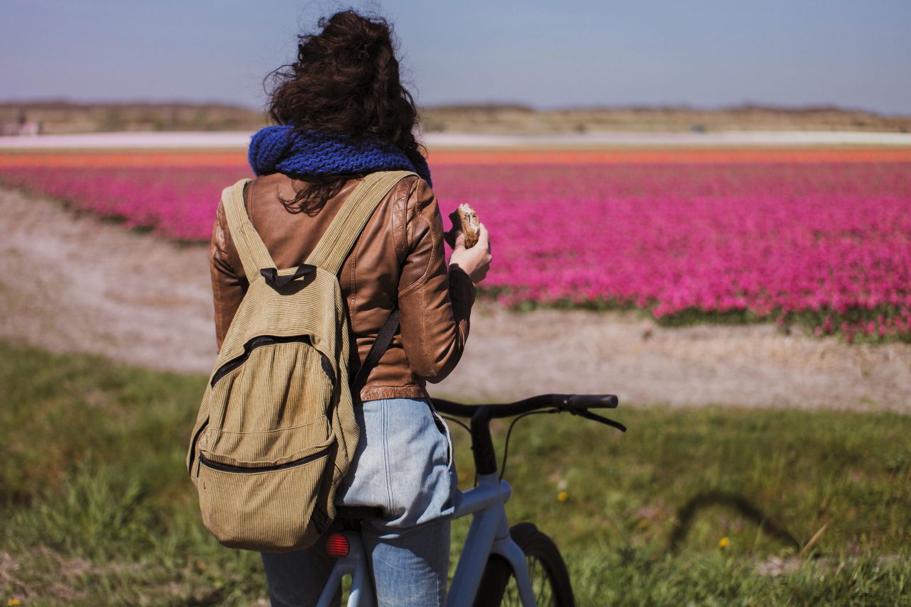 Fahrradtour Tulpenfelder Niederlande Tulpenblüte erleben