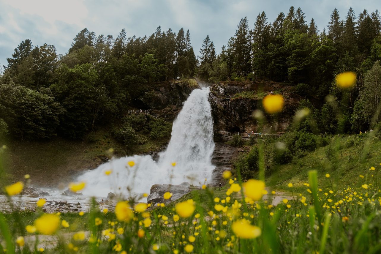 Steindalsfossen Norwegen Wasserfall