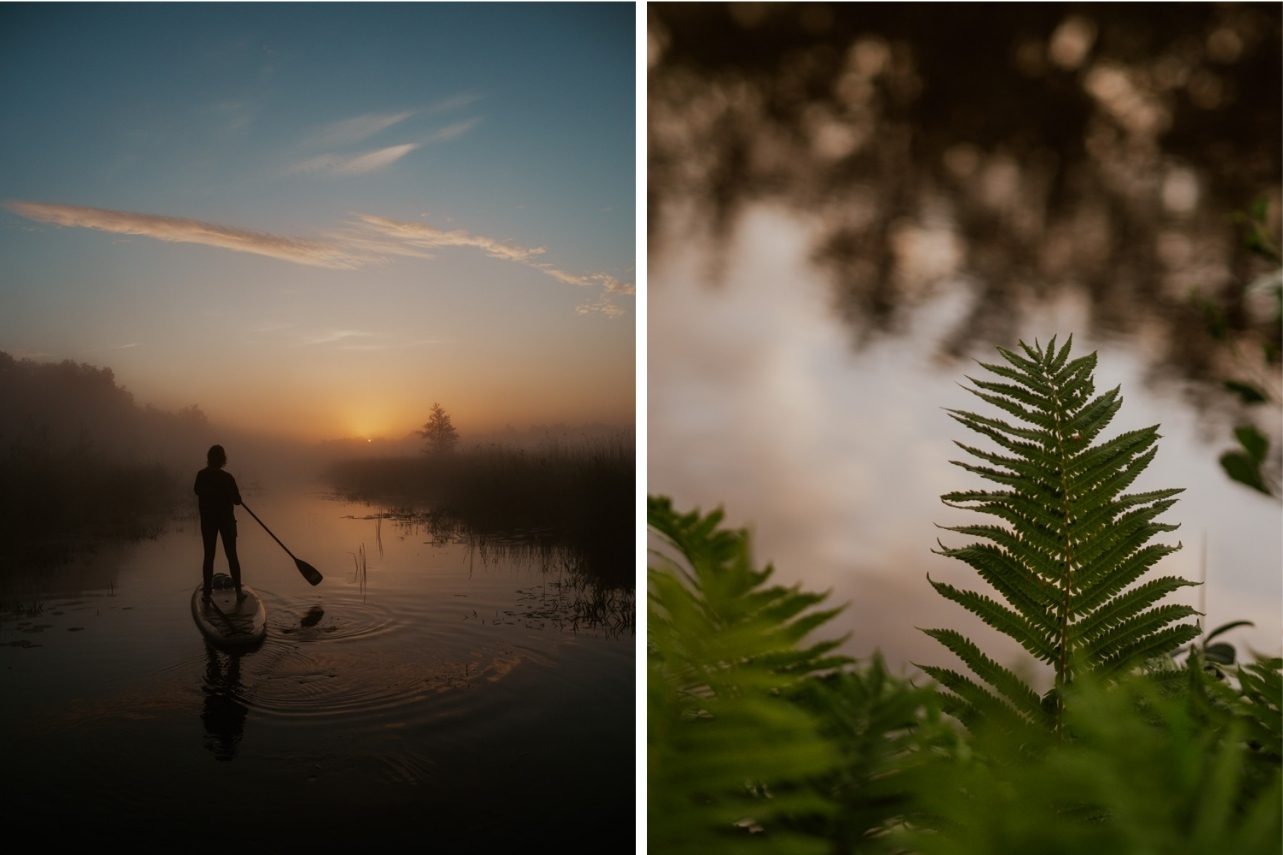 Sunrise SUP Weerribben-Wieden Overijssel