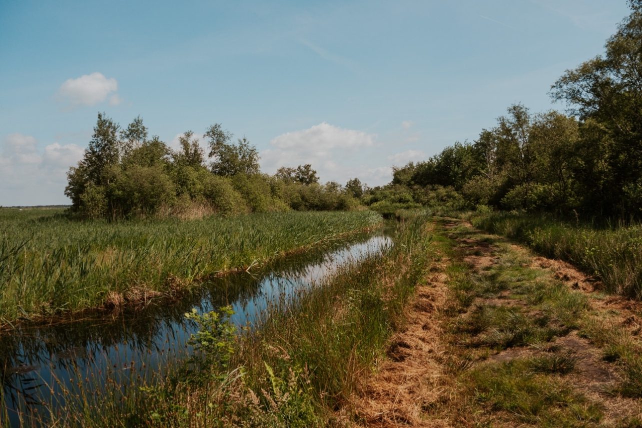 Wanderung Bezoekerscentrum De Wieden 4