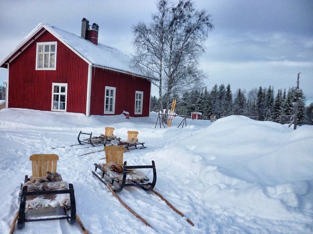 Rentierschlittenfahrt in Lappland