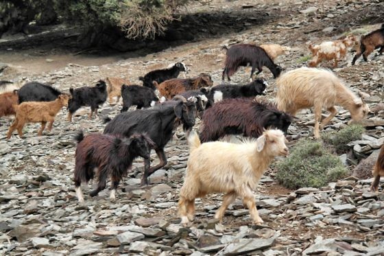 Trekking in Marokko