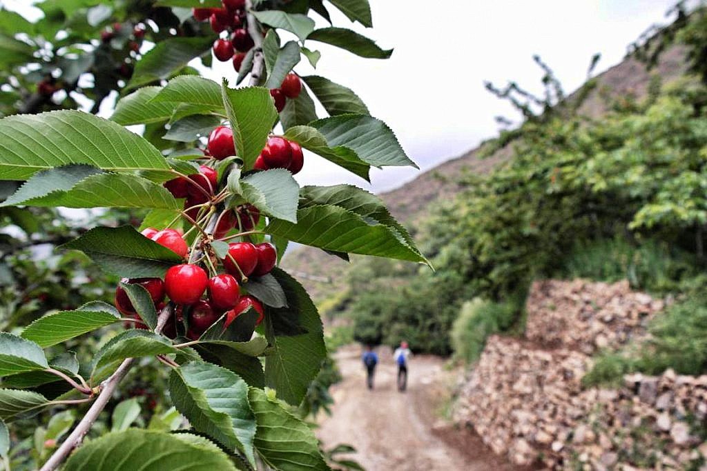 Trekking in Marokko