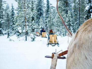 Im Wildnisdorf in Lappland Rentiere, Iglus & kein Strom