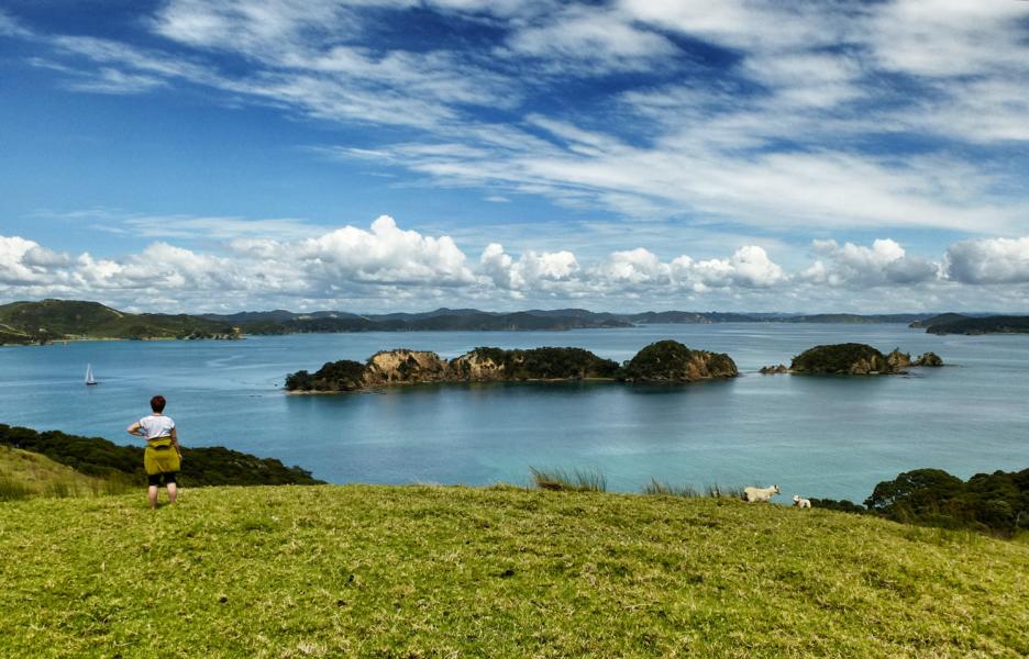 Segeln in der Bay of Islands (21)