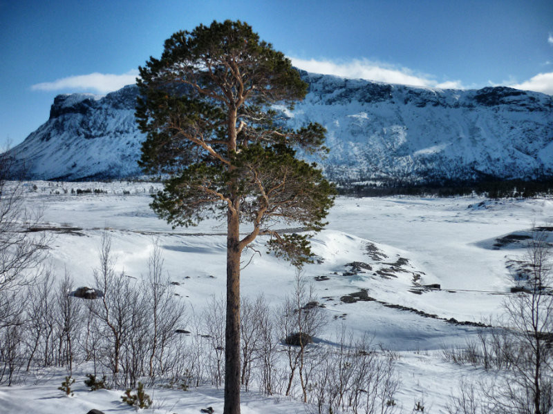 Schwedisch Lappland Highlights 1