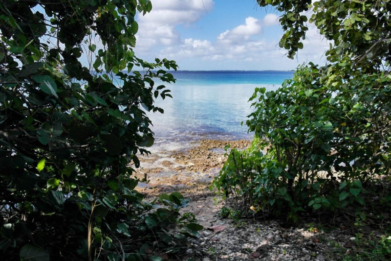 Geheimtipp Playa Larga oder auch: Der perfekte Tag auf Kuba