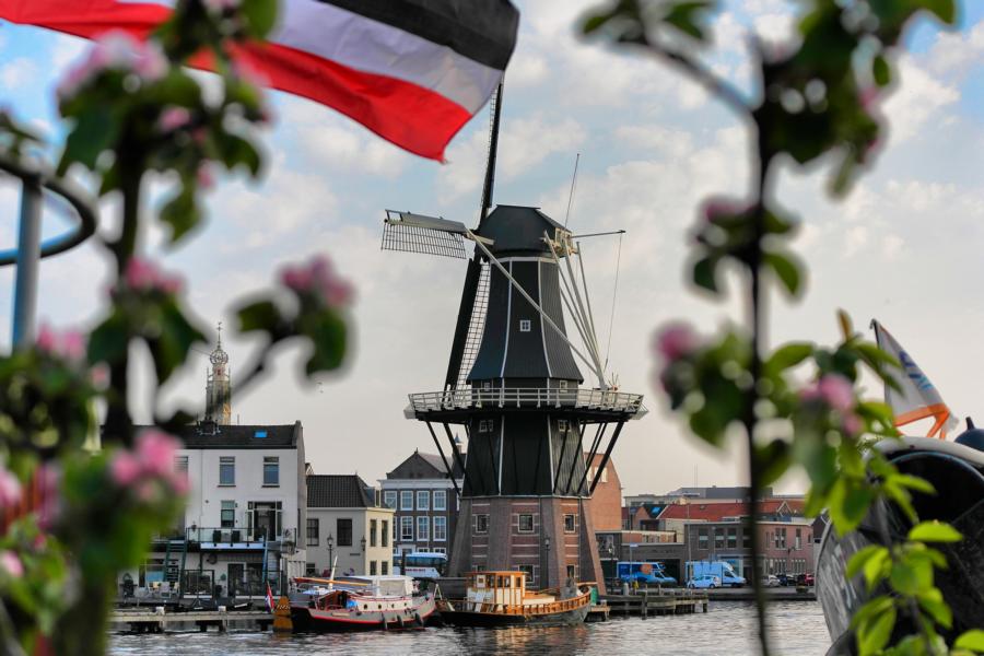 Die schönsten Ausflugsziele in Holland - Haarlem