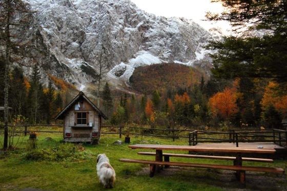 Kurzurlaub Slowenien - Logarska Dolina