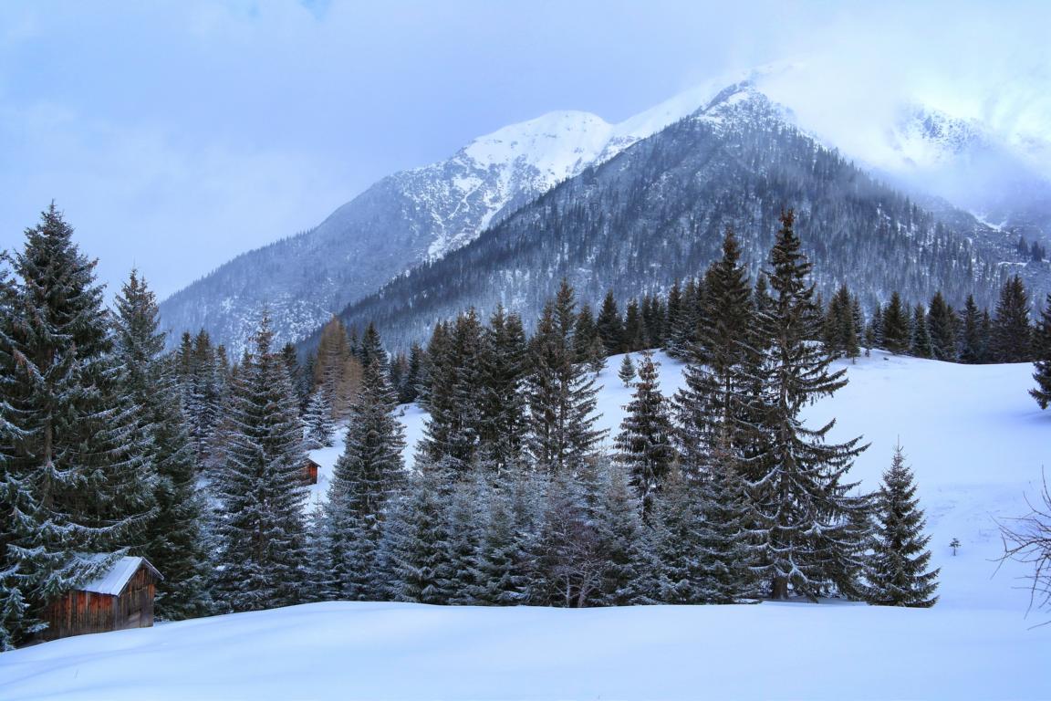 Schneeschuhwandern in Tirol 