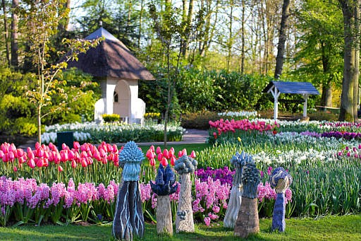 Frühlingszauber Tipps zur Tulpenblüte in Holland