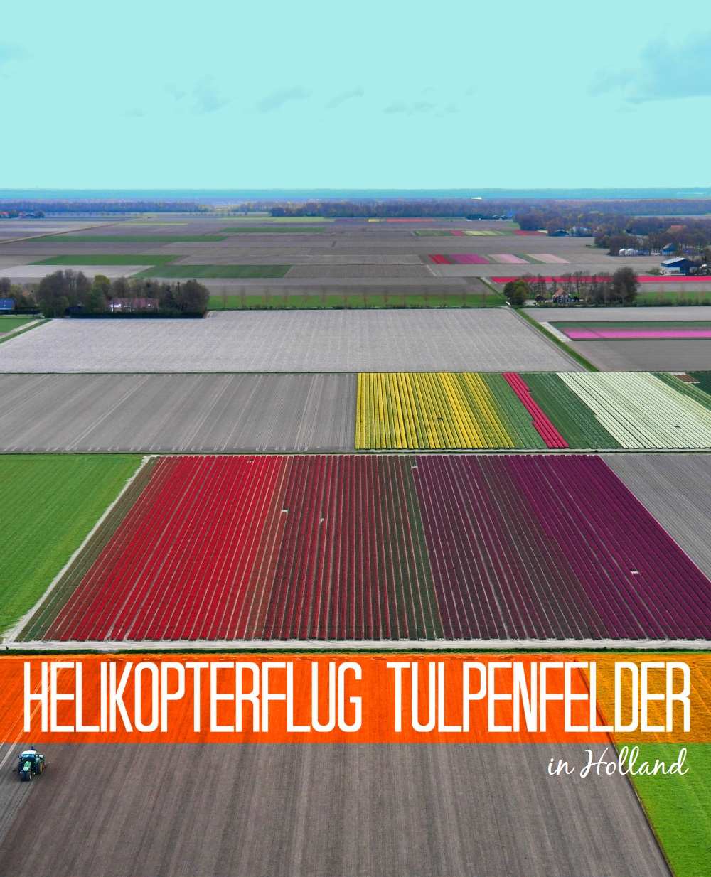 Helikopterflug über die Tulpenfelder in HollandHelikopterflug über die Tulpenfelder in Holland