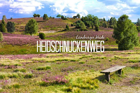 Deutschlands schönste Heide-Wanderung Der Heidschnuckenweg in der Lüneburger Heide