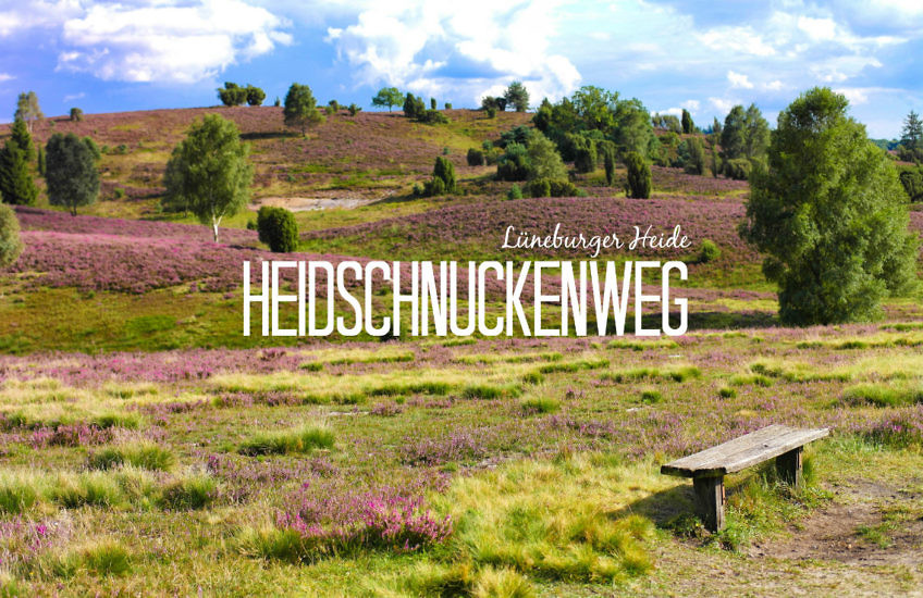 Deutschlands schönste Heide-Wanderung Der Heidschnuckenweg in der Lüneburger Heide