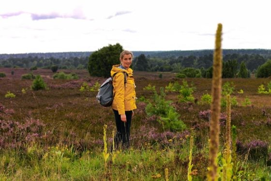 Deutschlands schönste Heide-Wanderung Der Heidschnuckenweg in der Lüneburger Heide