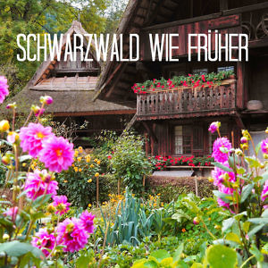 Schwarzwald wie anno dazumal Zuberbad, Ziegen-TV und das einfache Leben
