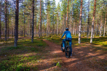 Indian Summer in Lappland - Aktivurlaub im herbstlichen Lappland - Mountainbiken im Hossa Nationalpark