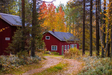 Indian Summer in Lappland - Aktivurlaub im herbstlichen Lappland