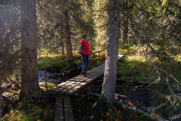 Indian Summer in Lappland - Aktivurlaub im herbstlichen Lappland - Riisitunturni Nationalpark