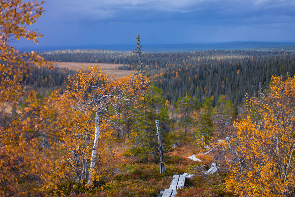 Indian Summer in Lappland - Aktivurlaub im herbstlichen Lappland - Riisitunturni Nationalpark