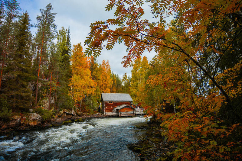 Indian Summer in Lappland - Aktivurlaub im herbstlichen Lappland - Oulanka Nationalpark